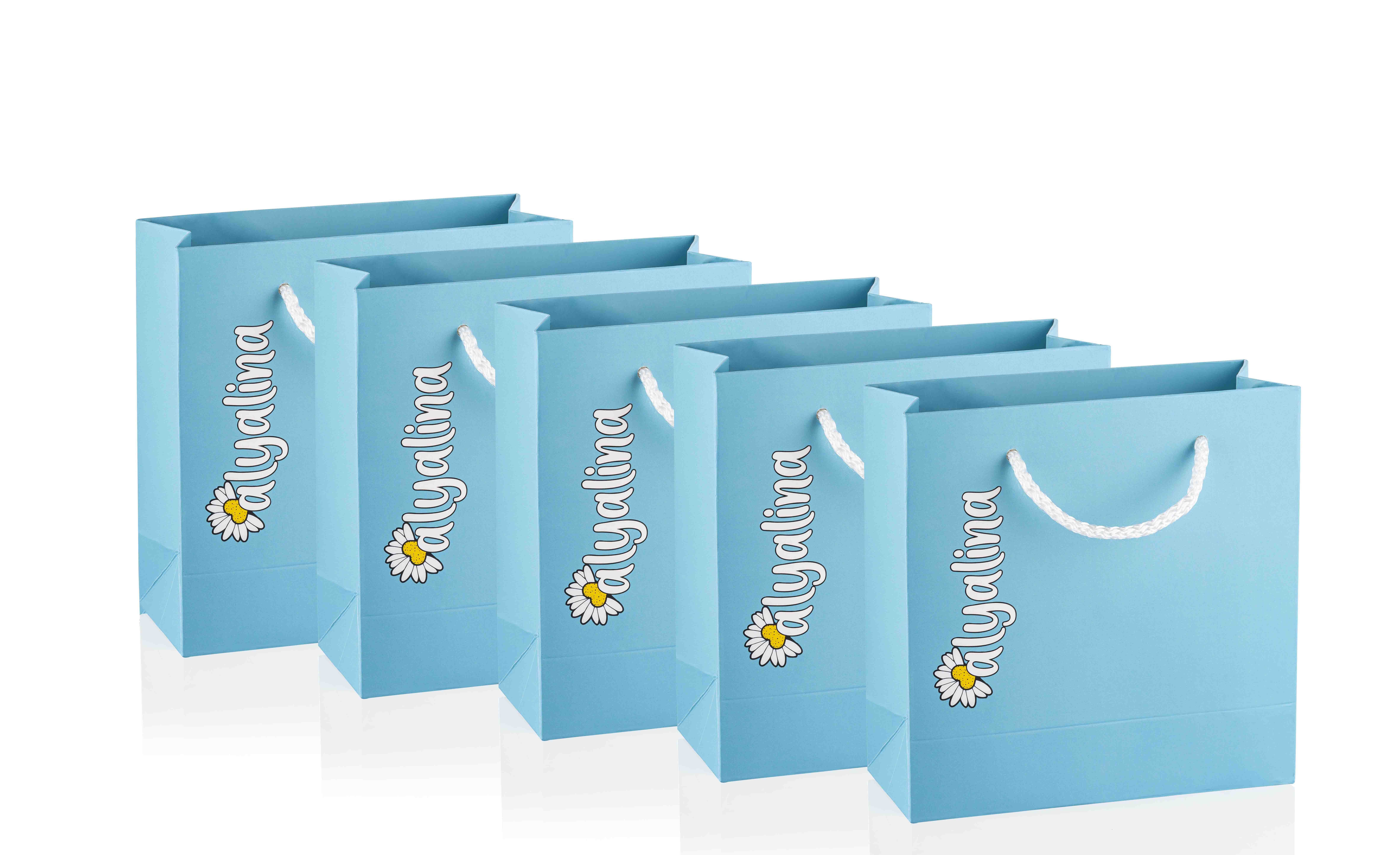 Alyalina Alyalina Karton Çanta  Küçük Boy Beşli