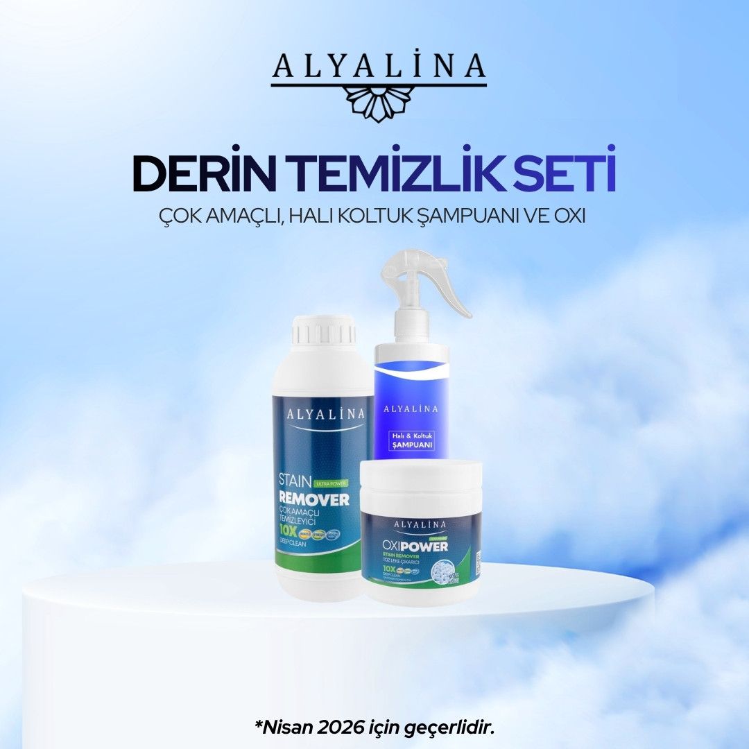 Alyalina Nisan Kampanyası Çok Amaçlı Temizleyici Halı Koltuk Şampuanı OXI Power Leke Çıkartıcı